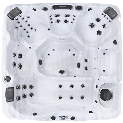 Avalon EC-867L hot tubs for sale in Watsonville